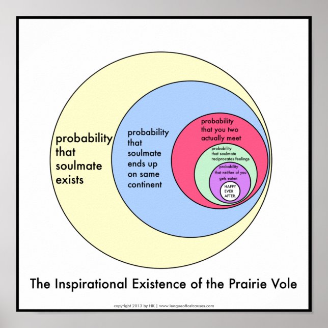 Soulmater: poster (Framsidan)