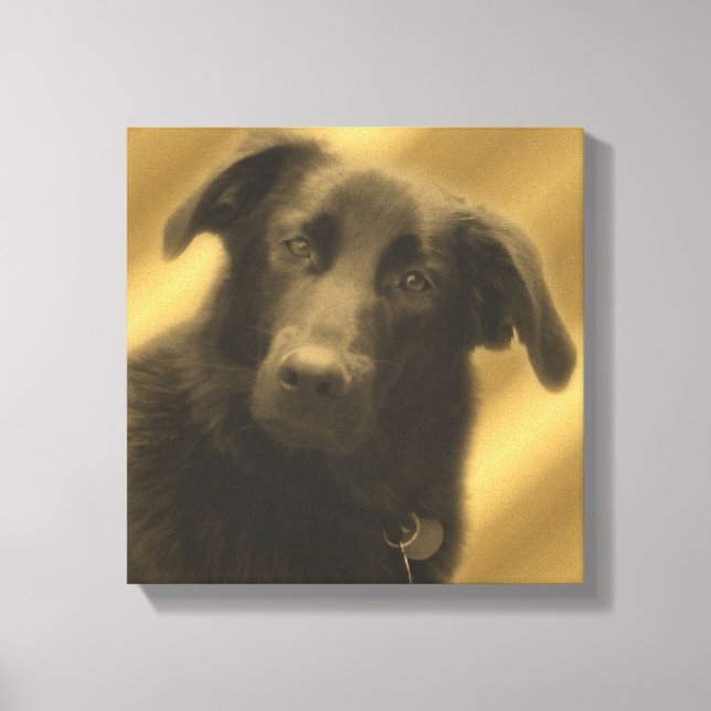 Soulous Wise Hund Ögon Animal Canvastryck (Framsida)