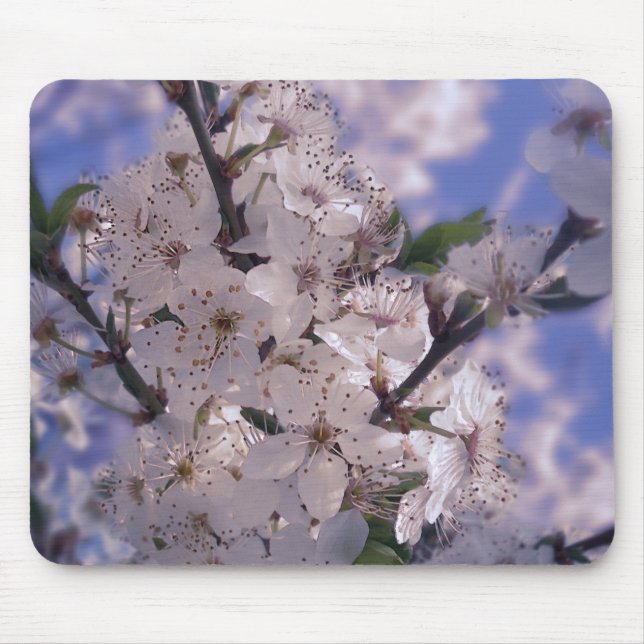 Sour Cherry Träd Blå himmel Musmatta (Framsidan)