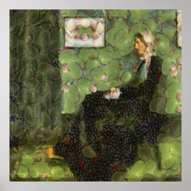 Sour Graps Fine Art Spoof Poster (Framsidan)