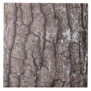 Sourwood skäll kakelplatta