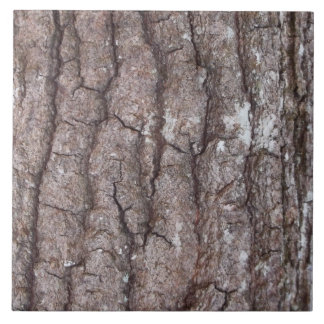 Sourwood skäll kakelplatta