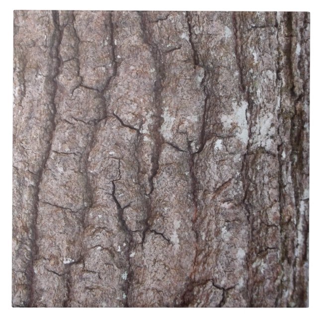 Sourwood skäll kakelplatta (Framsidan)