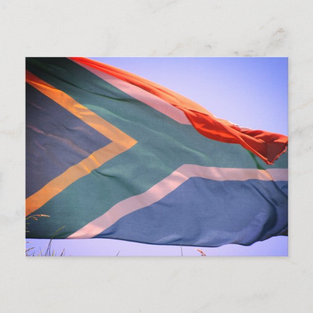 South african flagga vykort (Framsida)