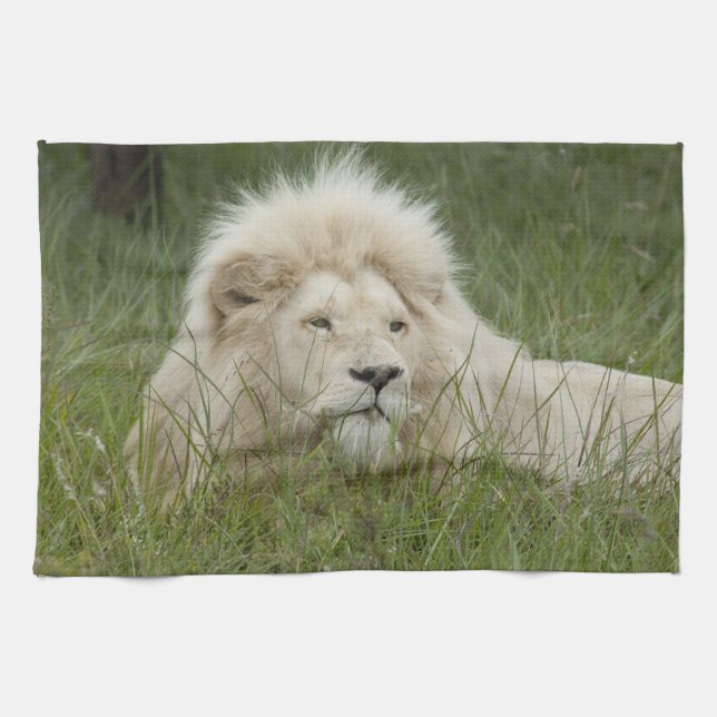 South Afrika, Öster London, Inkwenkwezi Private Kökshandduk (Horisontell)