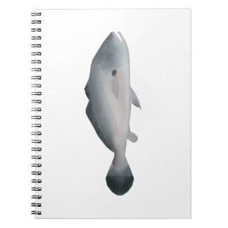 South American Silver Croaker Anteckningsbok