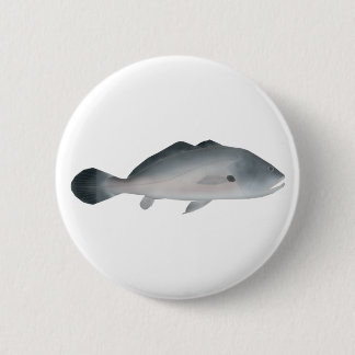 South American Silver Croaker Knapp