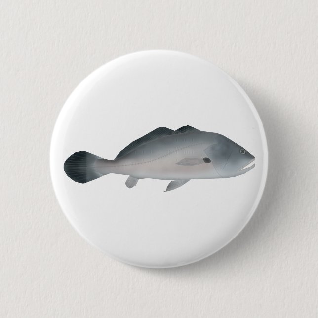 South American Silver Croaker Knapp (Framsida)