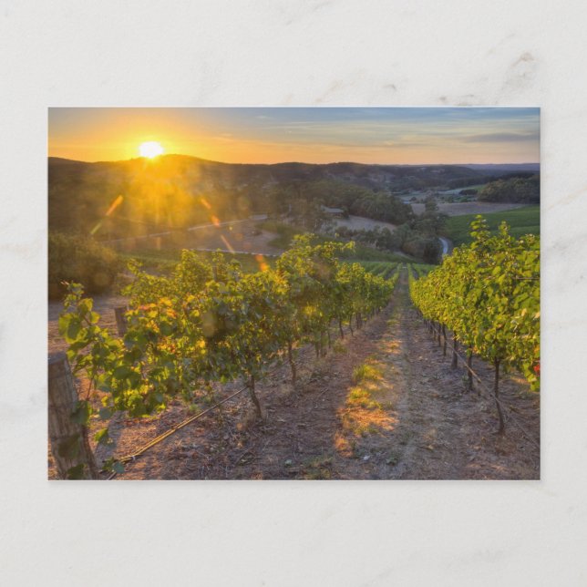 South Australia, Adelaide Backe, Summertown. Vykort (Framsida)