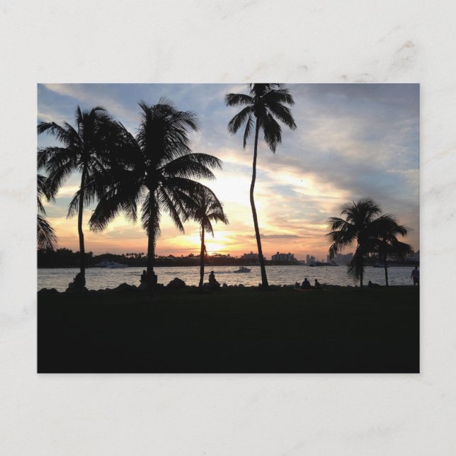 South Beach, Miami Handflatan Träd vid Sunset Post Vykort (Framsida)