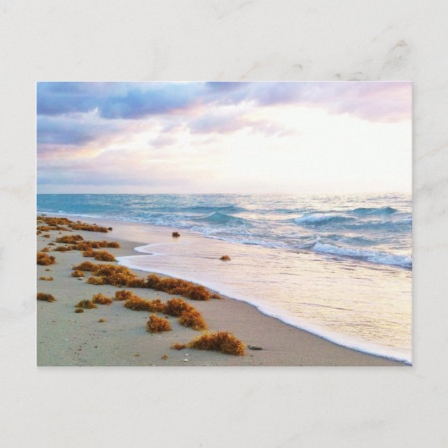 South Beach Miami Vykort (Framsida)