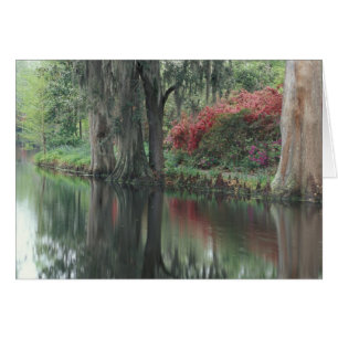 South Carolina, Charleston Hälsningskort