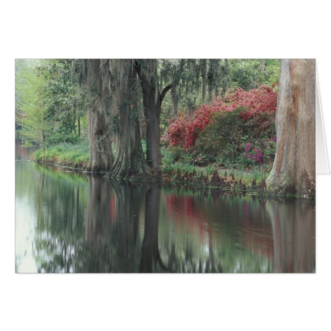 South Carolina, Charleston Hälsningskort (Framsidan Horizontal)