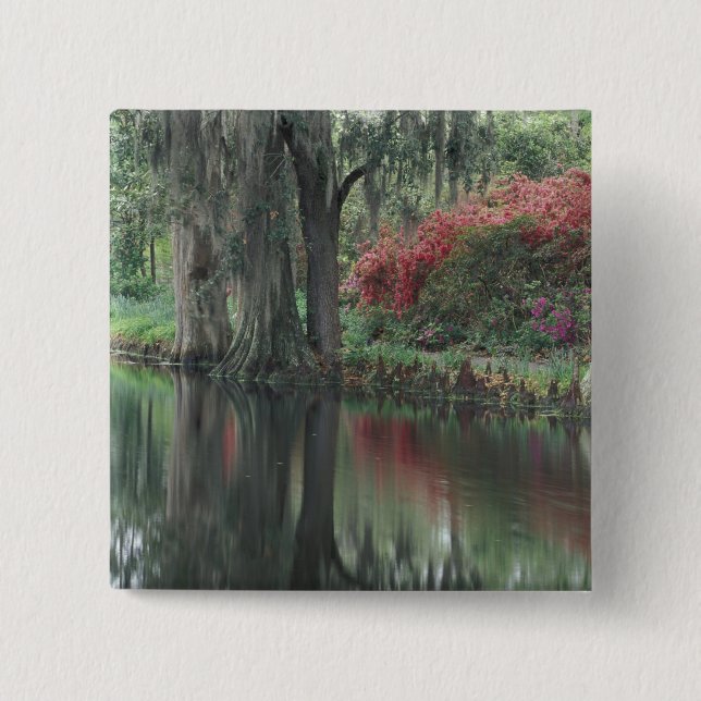 South Carolina, Charleston Knapp (Framsida)