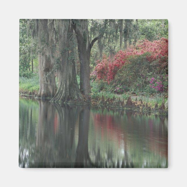 South Carolina, Charleston Magnet (Framsidan)