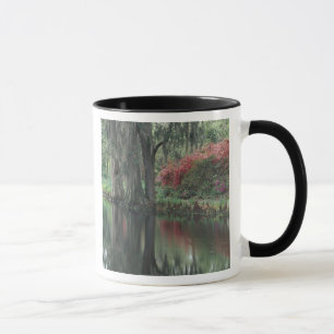 South Carolina, Charleston Mugg