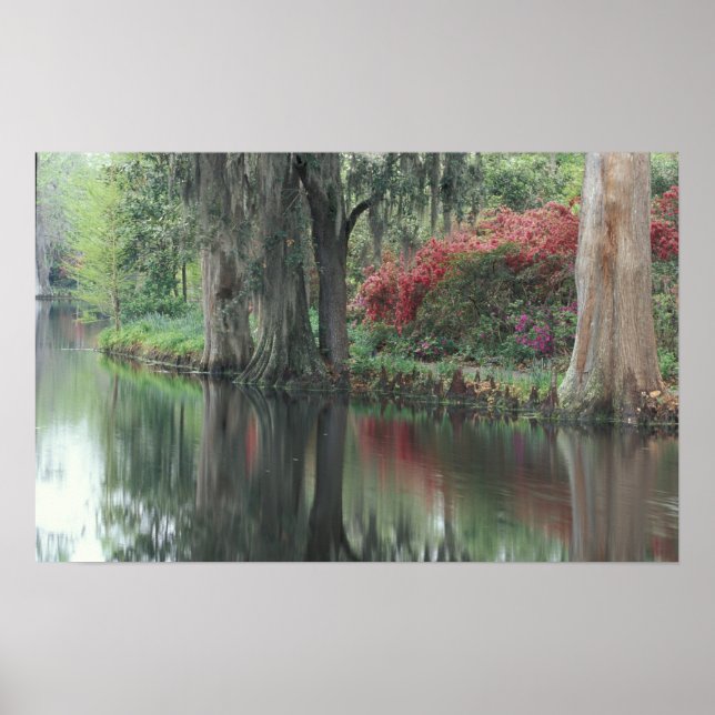 South Carolina, Charleston Poster (Framsidan)