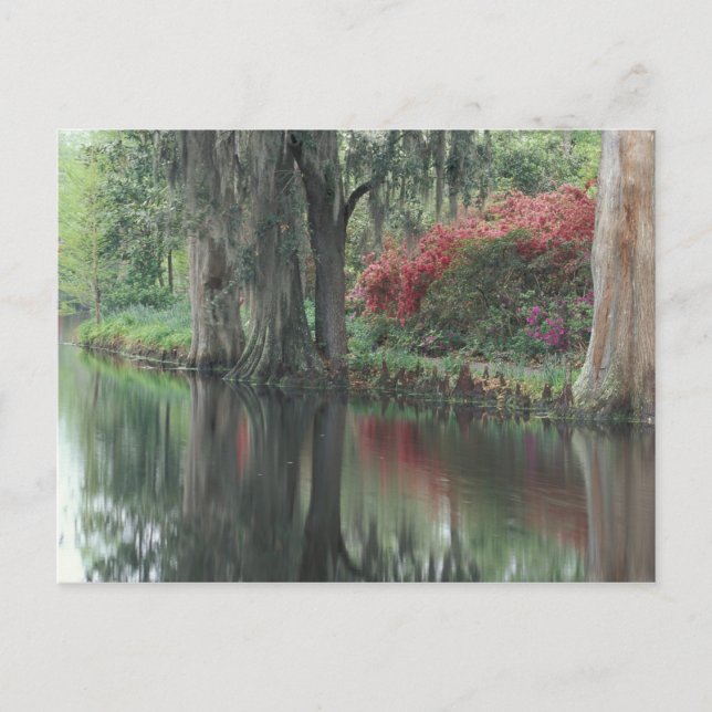 South Carolina, Charleston Vykort (Framsida)