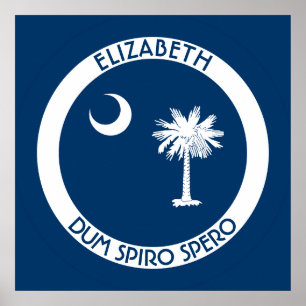 South Carolina den statliga personliga flagga för Poster