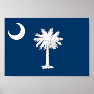 South Carolina flagga Poster
