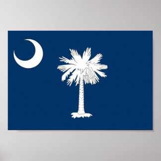 South Carolina Flagga Poster