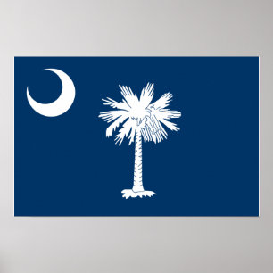 South Carolina flagga Poster