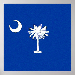 SOUTH CAROLINA FLAGGA POSTER