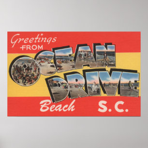 South Carolina - havdrevstrand Poster