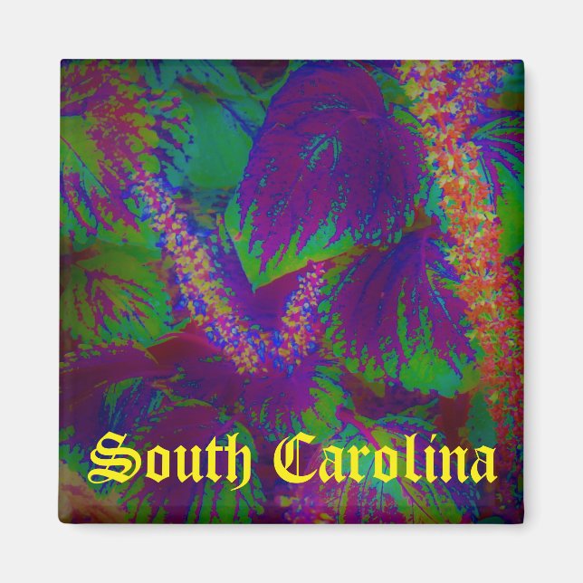 South Carolina magnet (Framsidan)