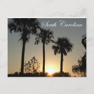 South Carolina Palmetto Sunrise Vykort