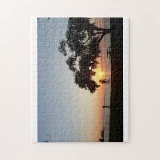 South Carolina Pussel