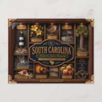 South Carolina Shadow Box 3D Figurin Delstat