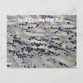 South Carolina Snigel Mail 2 Vykort