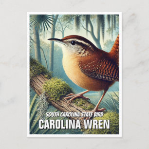 South Carolina State Bird Carolina Wren Vykort
