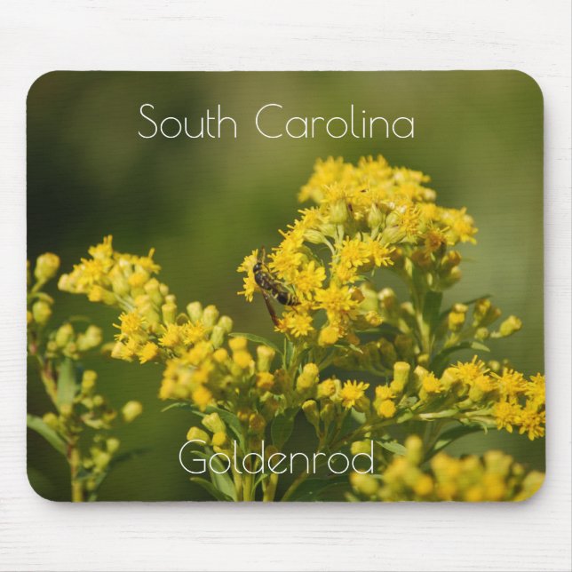 South Carolina State Flower Goldenrod Mousepad Musmatta (Framsidan)
