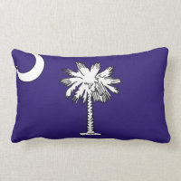 South Carolina statlig flagga förenade Amerika