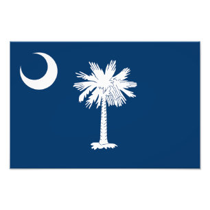 South Carolina statsflagga Fototryck