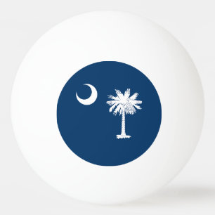 South Carolina statsflagga Pingisboll