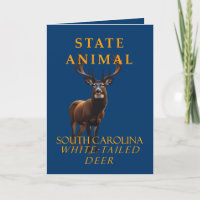 South Carolina Territory Animal the Whitetail Hjor