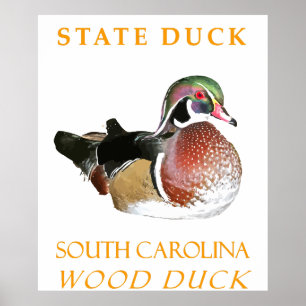 South Carolina Territory Anka Wood Anka Poster