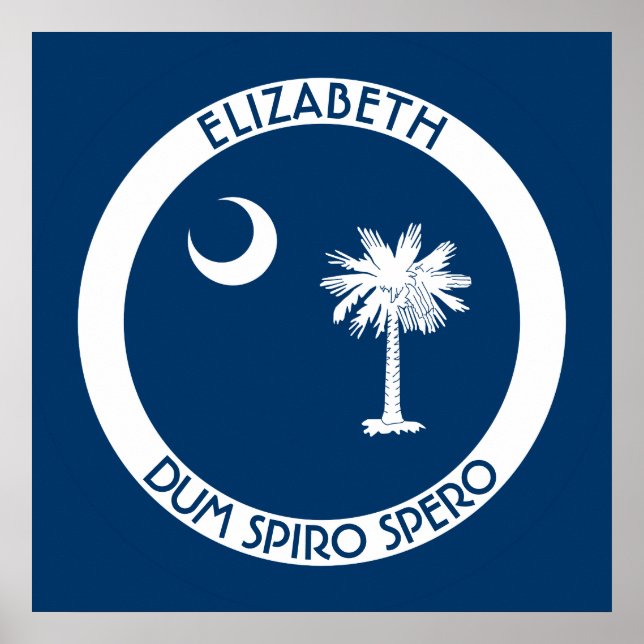 South Carolina the Palmetto State Personal Flagga Poster (Framsidan)