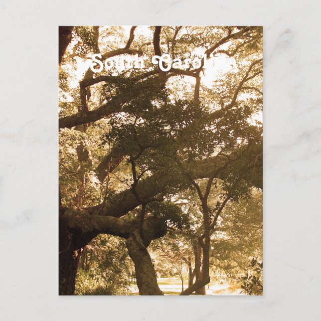 South Carolina Vykort (Framsida)