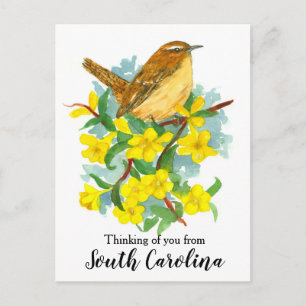 South Carolina Wren Bird Thinking of You Vykort