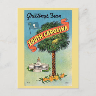 South Carolinas Cabbage Palm Vykort