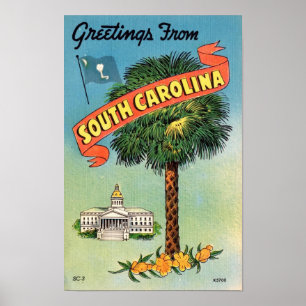 South Carolinas Palmetto Palm 11x17 tryck