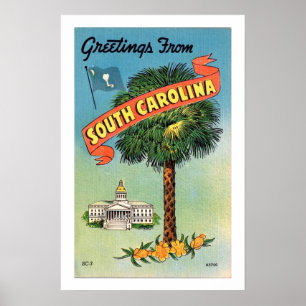 South Carolinas Palmetto Palm 16x24 tryck