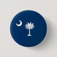 South Carolinian Flagga, Flagga of South Carolina