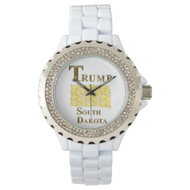SOUTH DAKOTA ARMBANDSUR (Framsida)