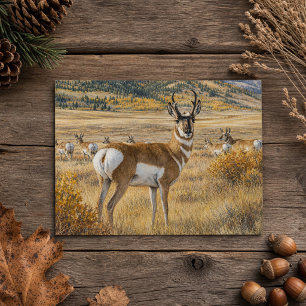 South Dakota Gaffelantilop Vilda Djur Natur Vykort