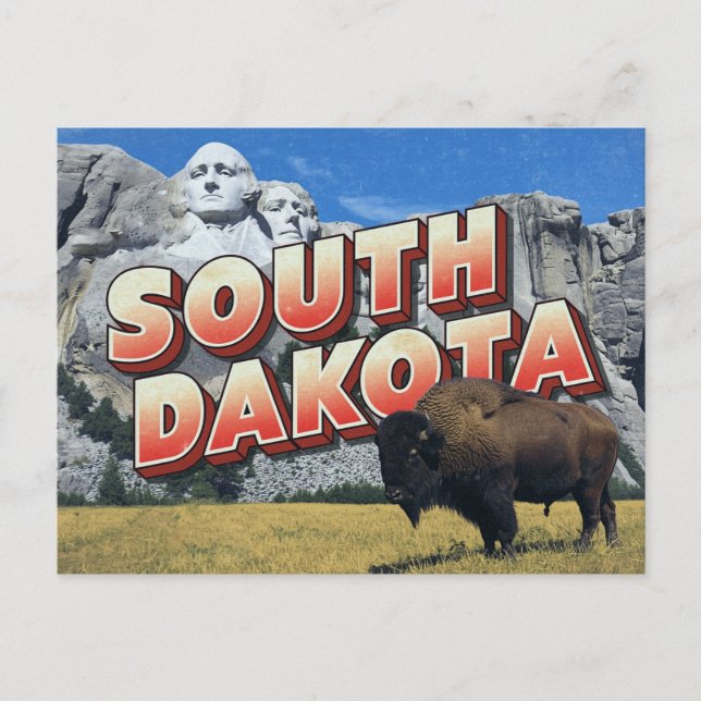 South Dakota Mount Rushmore Bison Vykort (Framsida)